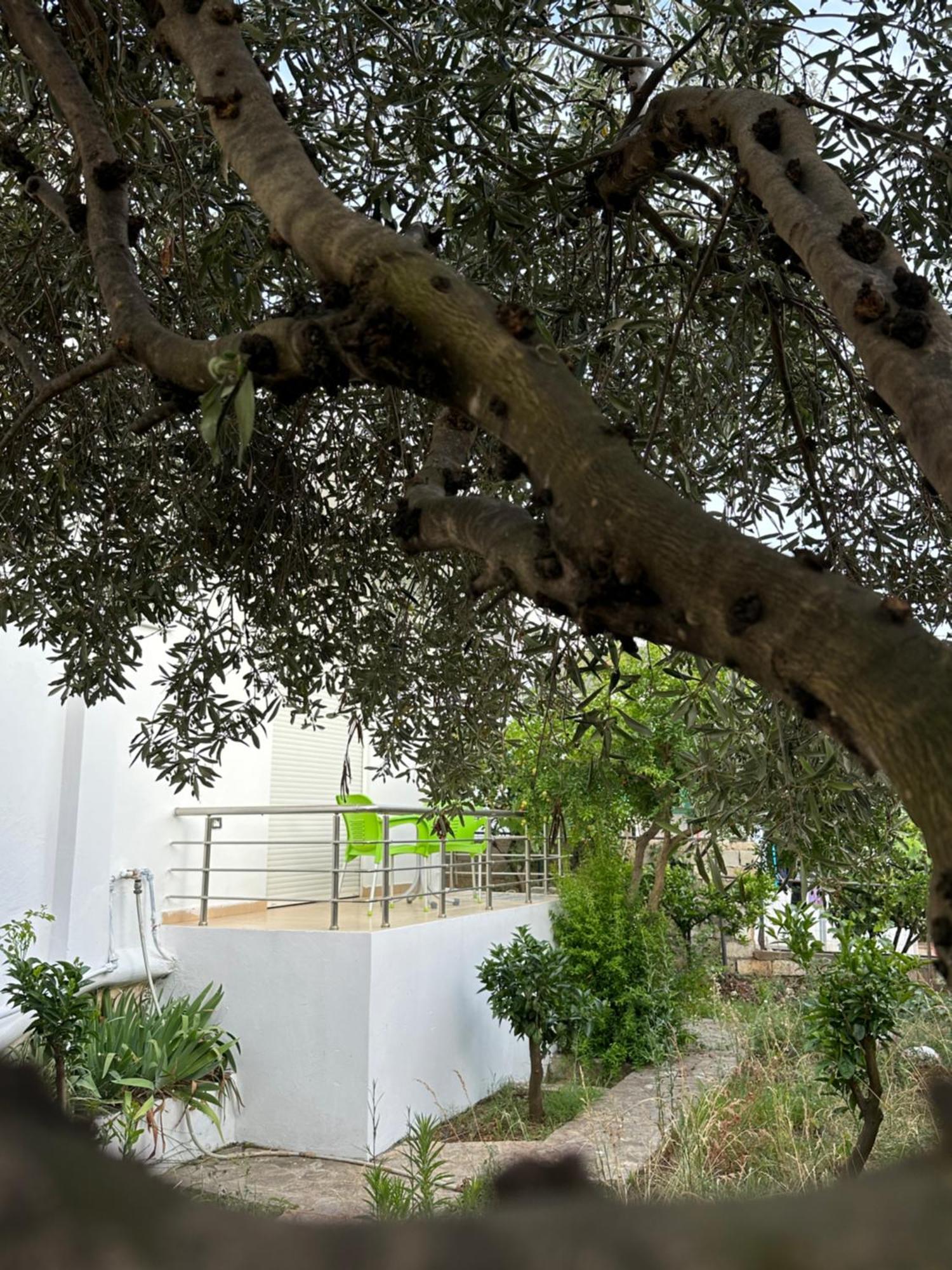 Apartmán Anxhi Ksamil Exteriér fotografie